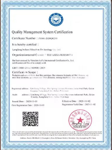 중국 Langfang Lvshen Filtration Technology Co., Ltd. 인증